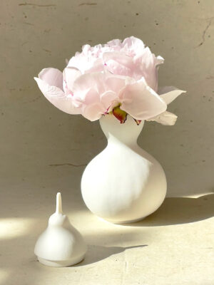 Vase en porcelaine Coloquinte