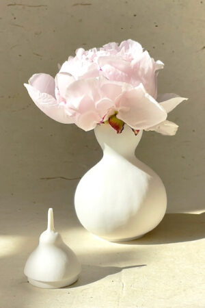 Vase en porcelaine Coloquinte